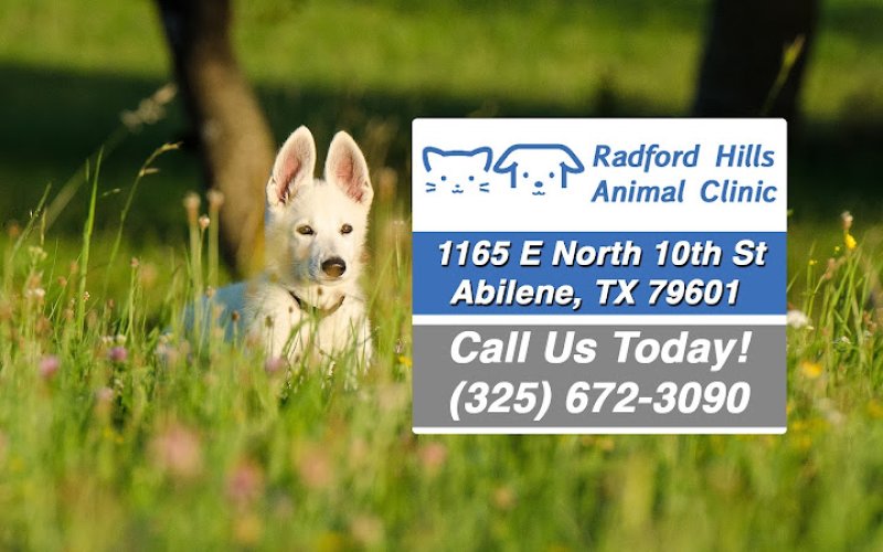 Radford Hills Animal Clinic