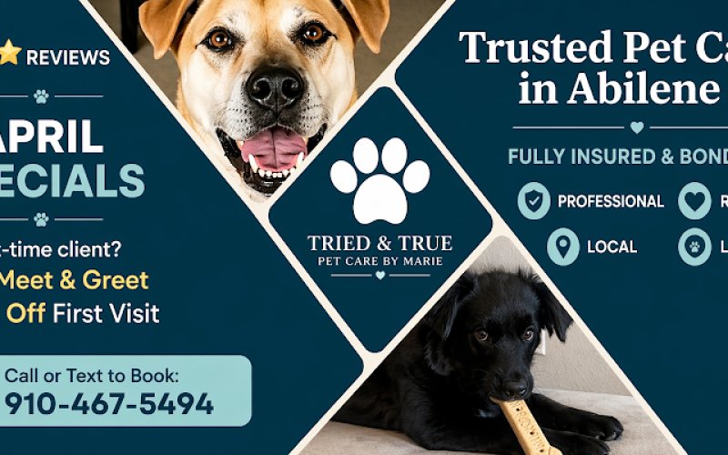 Tried and True Pet Care by Marie — Pet sitter in Abilene