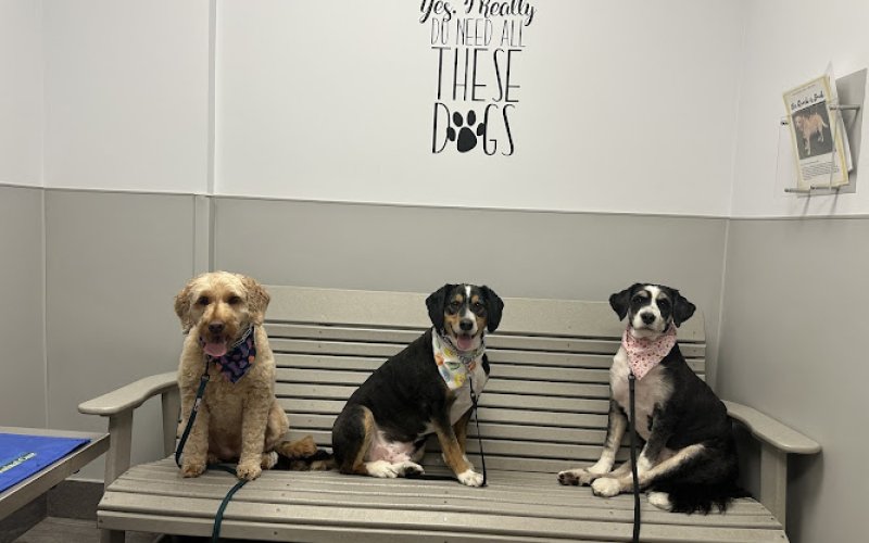 Hamilton Animal Care of the Lehigh Valley
