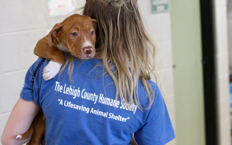 The Lehigh Valley Humane Society and Vet Clinic