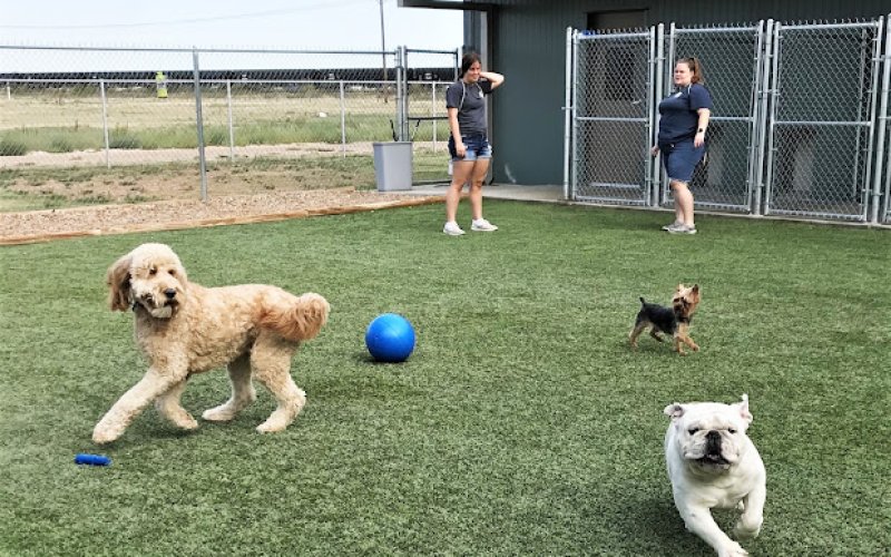 Good Dog Pet Ranch
