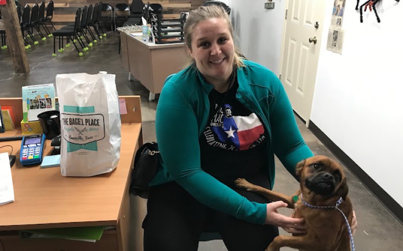 P.E.T.S. Clinic of Amarillo — Veterinarian in Amarillo