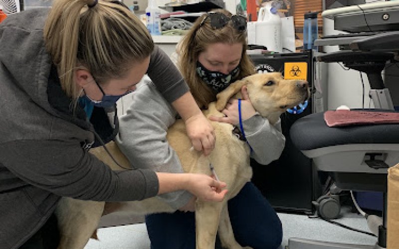 Alaska PAWS Veterinary Clinic (formerly Alaska SPCA Veterinary Clinic)
