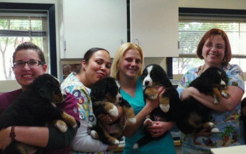 Alaska Veterinary Clinic