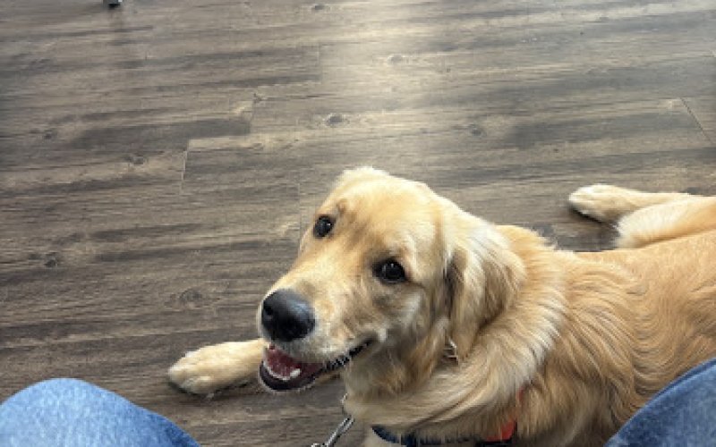 PET Urgent Care
