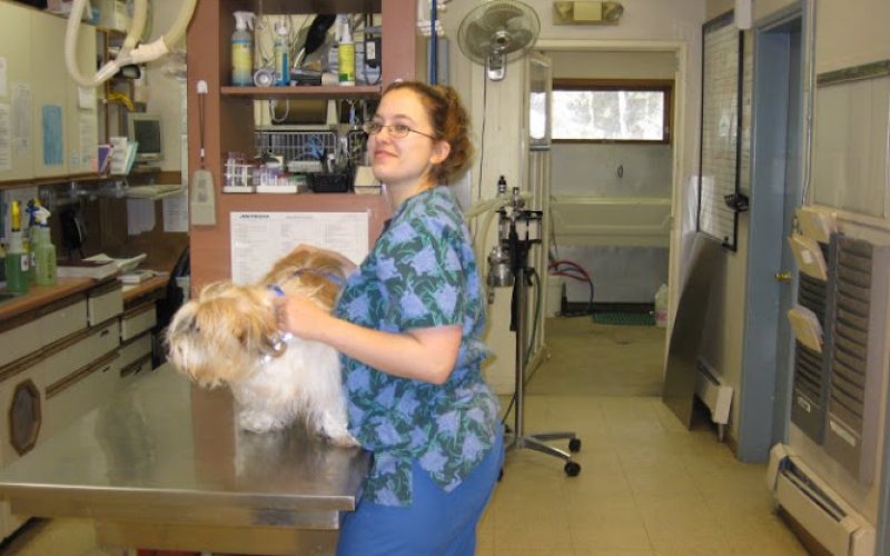 VCA East Anchorage Animal Hospital