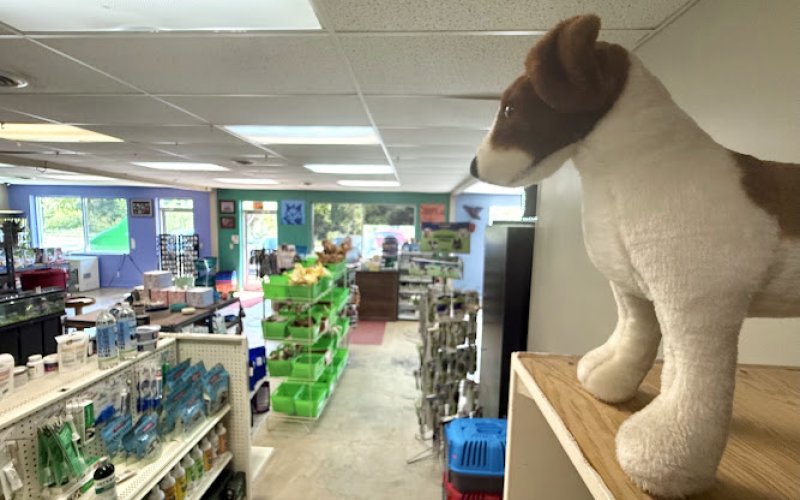 Asheville Pet Supply