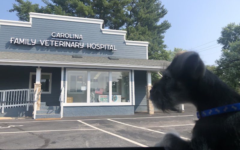 Carolina Family Vet