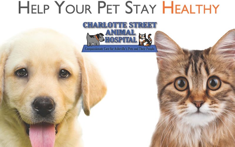 Charlotte Street Animal Hospital