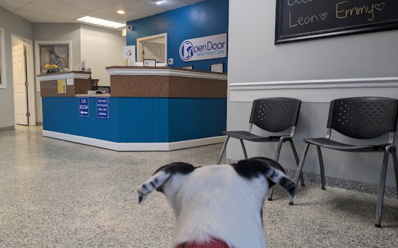 Open Door Veterinary Care