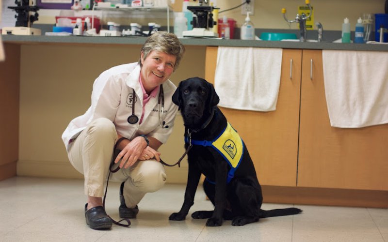 Treehouse Animal Clinic