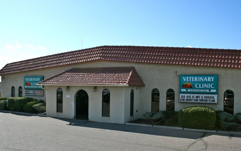 Special Friends Veterinary Clinic & Grooming — Veterinarian in Aurora