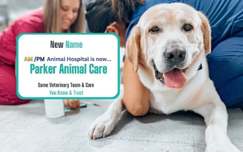 Parker Animal Care