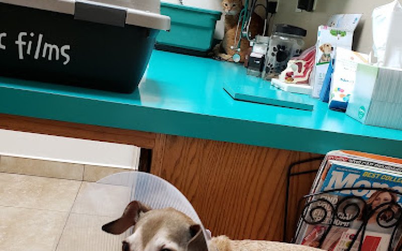 Coffee Road Animal Hospital & Pet Resort