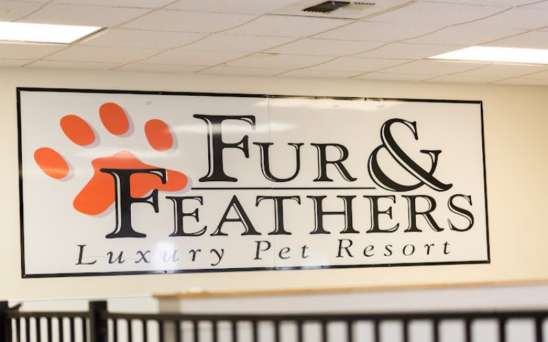 Fur & Feathers Pet Resort