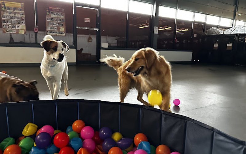 Baltimore Bark House