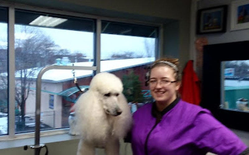 Woofs and Wags Pet Lodge