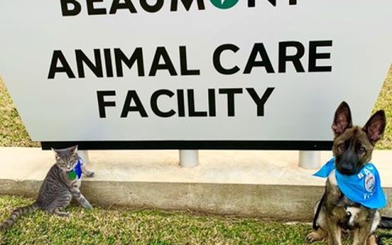 Beaumont Animal Care