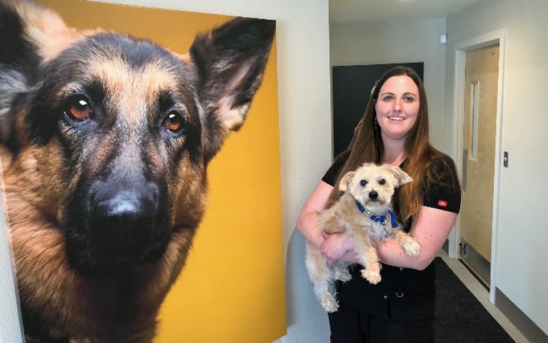 Central Oregon Animal Hospital — Veterinarian in Bend