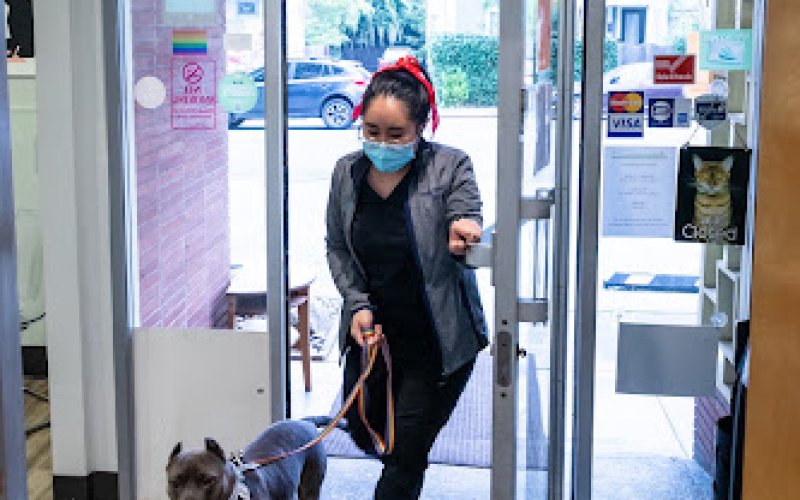 Campus Veterinary Clinic — Veterinarian in Berkeley