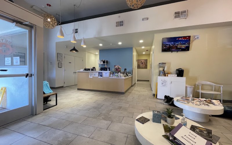 Pet Emergency Treatment Services: Barlia Michael DVM — Veterinarian in Berkeley