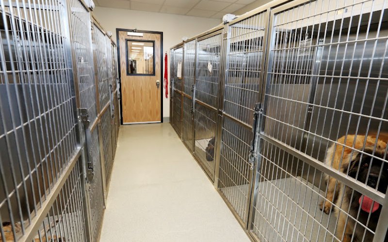 Best Friends Animal Hospital and Urgent Care Center