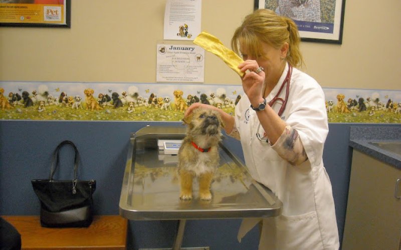Shiloh Veterinary Hospital