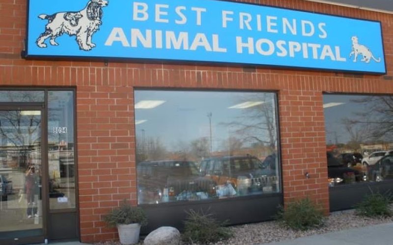 Best Friends Animal Hospital