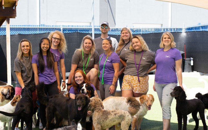 Bowhaus - Boulder — Pet boarding service in Boulder