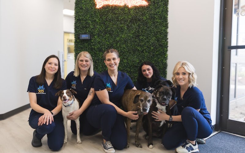 PetVet365 Pet Hospital Boulder — Veterinarian in Boulder