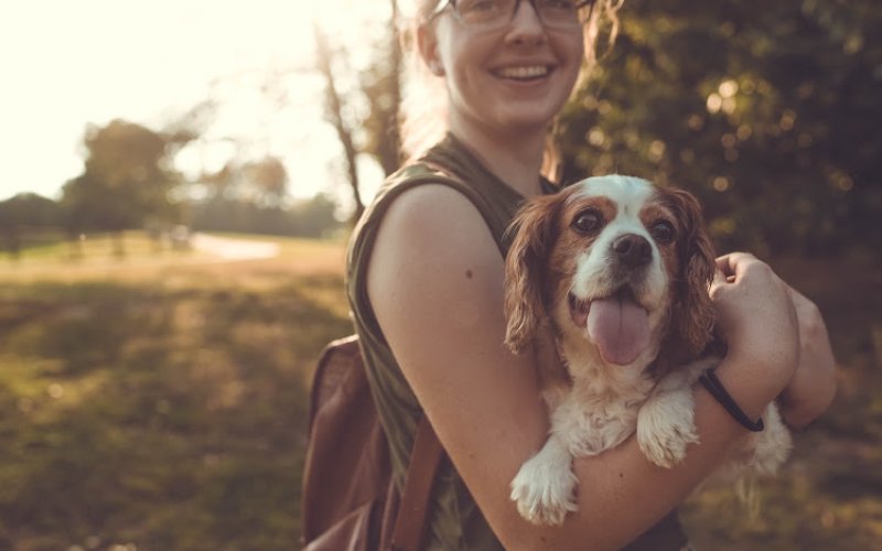 Pure In-Home Pet Sitting — Pet sitter in Boulder