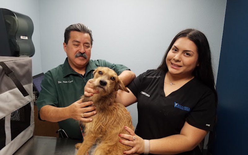 Boca Chica Animal Hospital