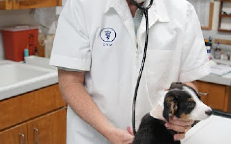 Brownsville Veterinary Hospital