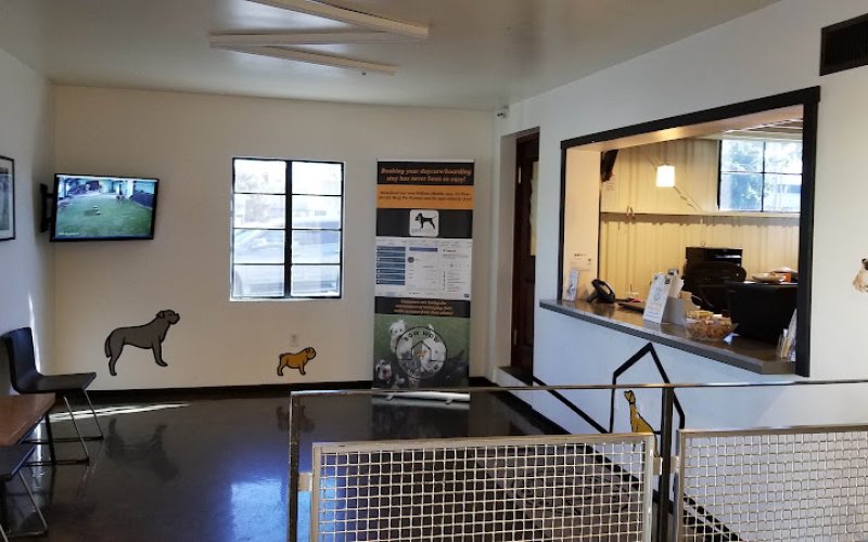 Bow Wow Bungalow