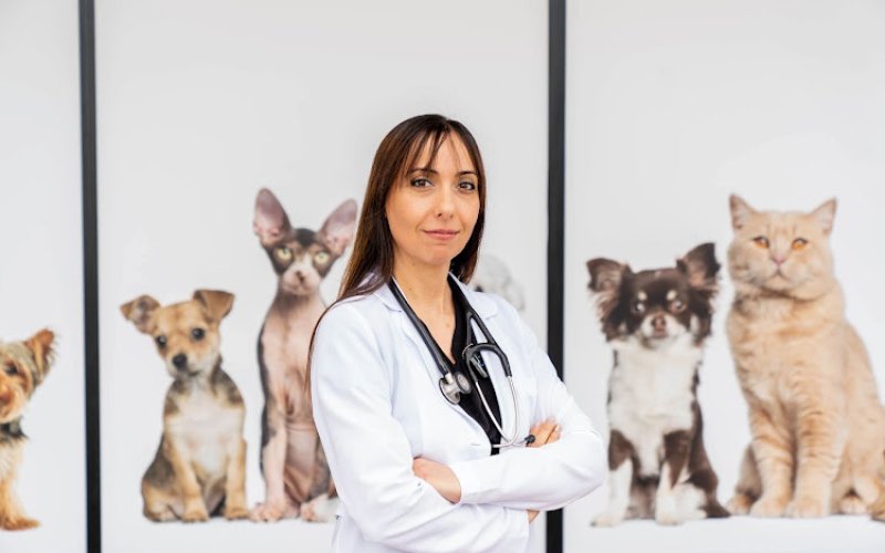 Community Animal Treatment Center (CATC)