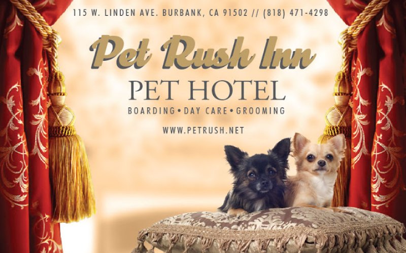 Pet Rush Inn