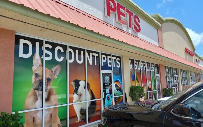 Discount Pets & Supplies