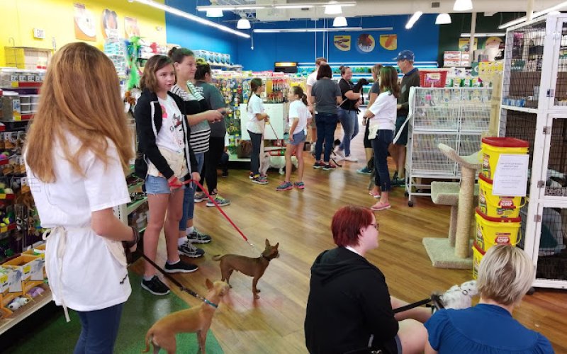 Pet Supermarket