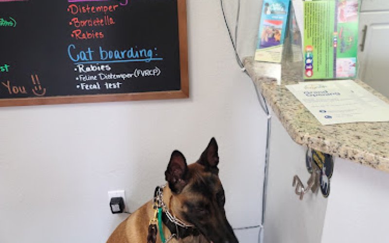 PetCoral Veterinary Hospital and Resort