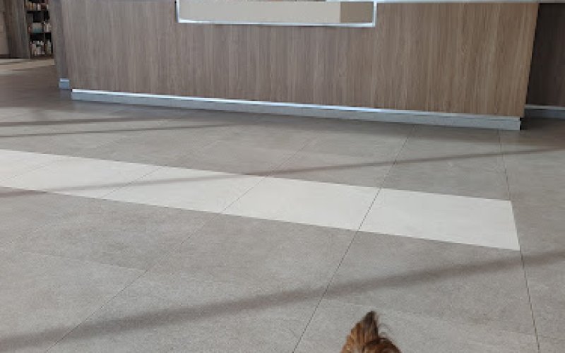 Viscaya Prado Veterinary Hospital Main 1141 Country Club