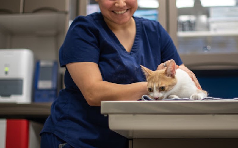 Coastal Animal Hospital