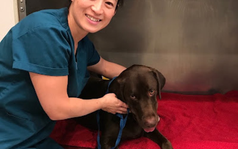 Mohnacky Animal Hospitals of Carlsbad
