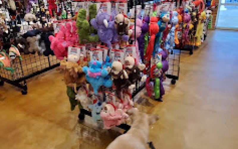 Feeders Pet Supply