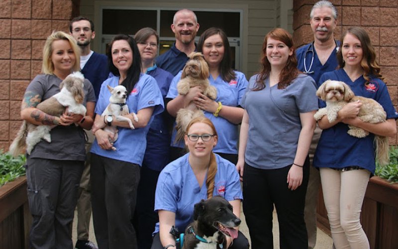 Noah's Ark Veterinary Hospital