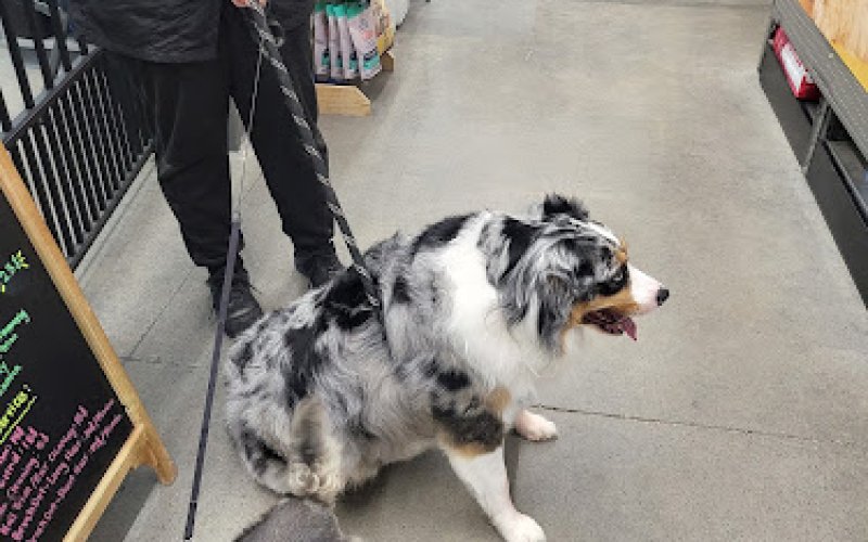 Pet Supplies Plus Cary NW