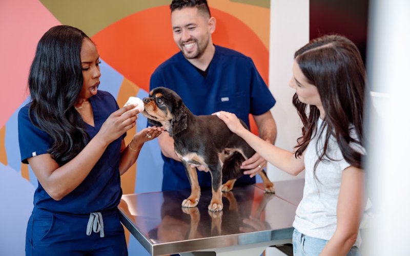 Petfolk Veterinary & Urgent Care - Cary