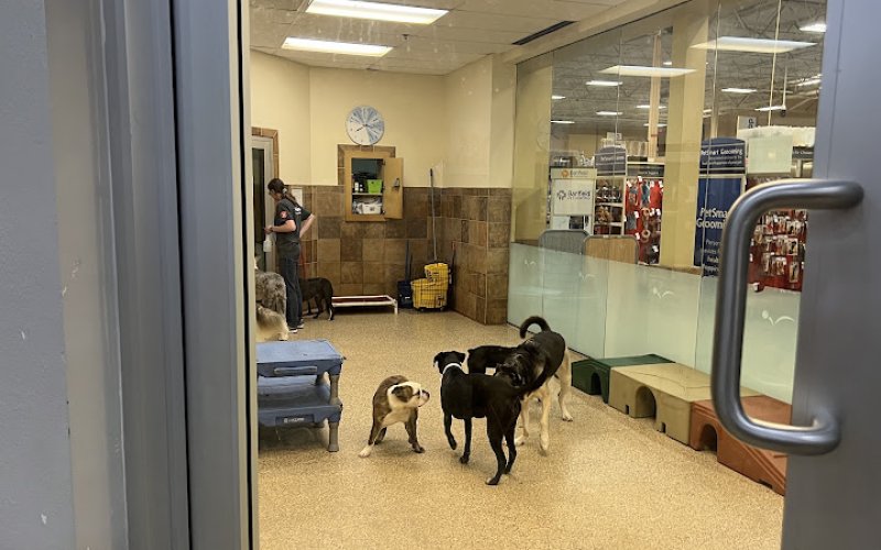 PetsHotel