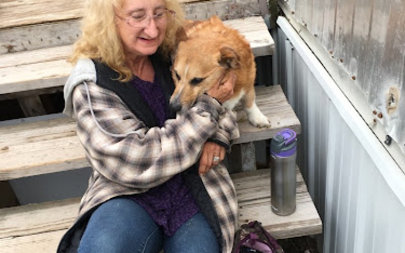 Mobile Pet Care Clinic