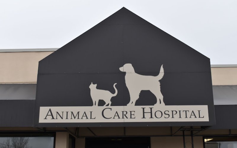 Animal Care Hospital