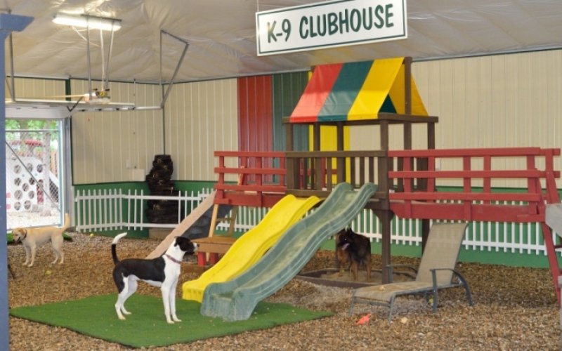 Canine Corner & Cats Too